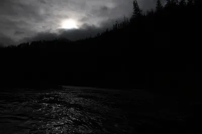 DSC_0186 (Large).JPG